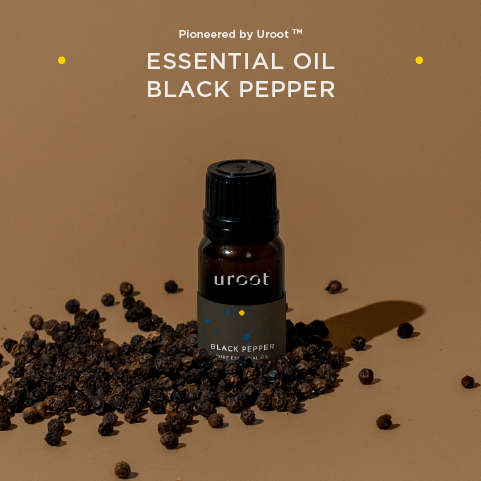 Black Pepper Pure Essential Oil