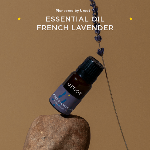 French Lavender Pure Essential Oil