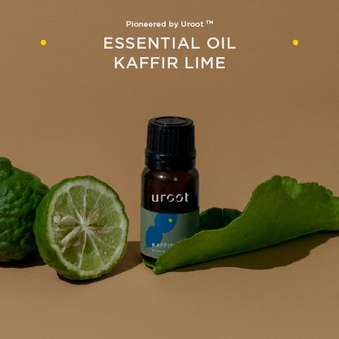 Kaffir Lime Pure Essential Oil