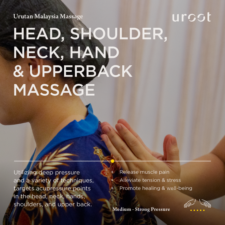 spa-head-shoulder-neck-hand-and-upperback-massage-02.png